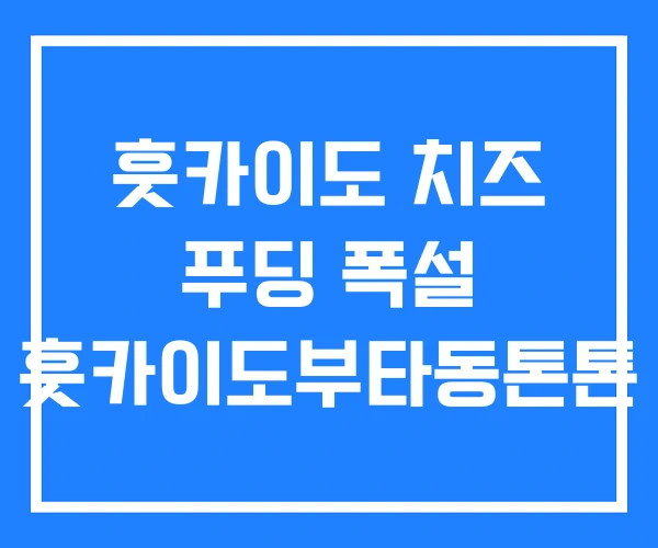 훗카이도 치즈 푸딩 폭설 훗카이도부타동톤톤